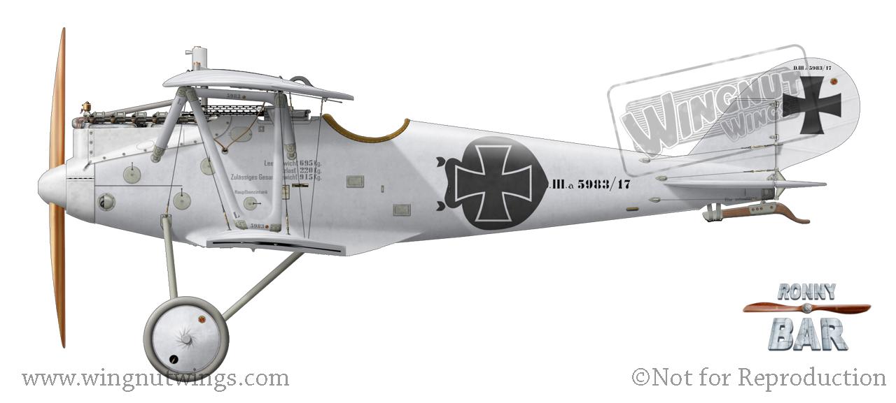 Pfalz D.IIIa Review by Rob Baumgartner (Wingnut Wings 1/32)